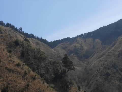 DSCN3769