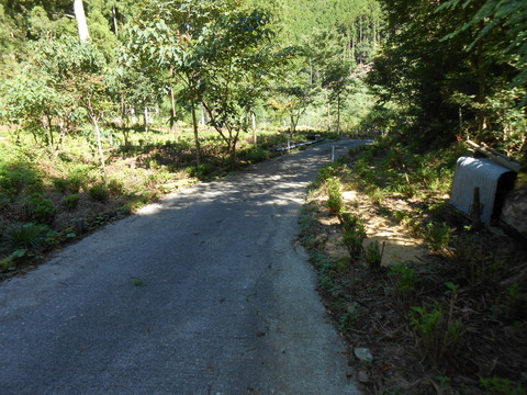 DSCN4398