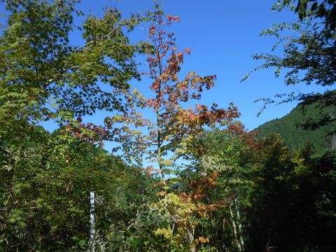 DSCN4713