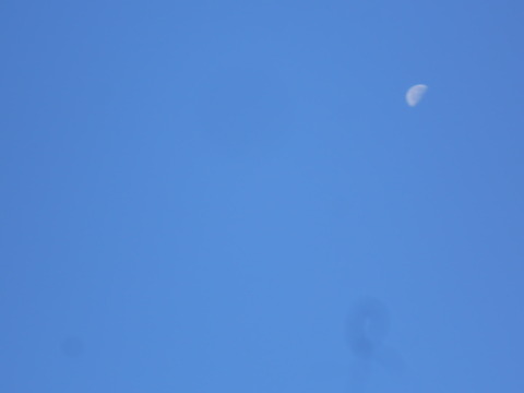 DSCN8775
