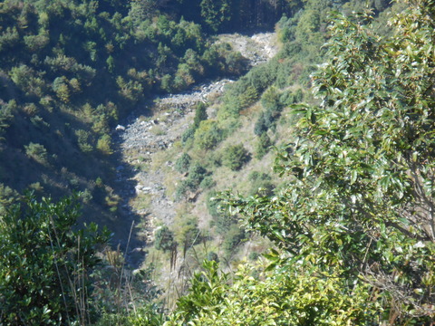 DSCN4860