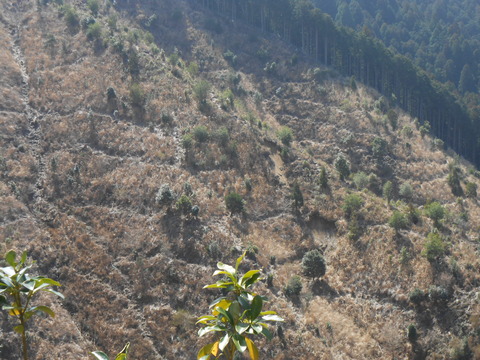 DSCN3768