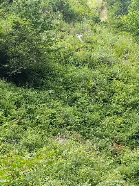 20190803_094653