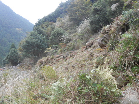 DSCN6883
