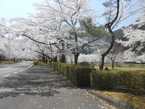DSCN9059