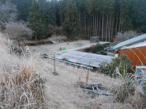 DSCN7290