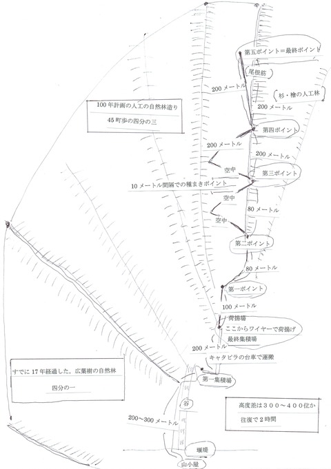 自然林地図20140927