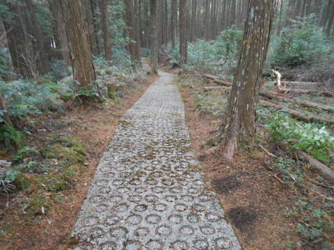 DSCN8865