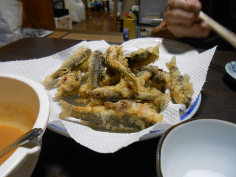 DSCN6578