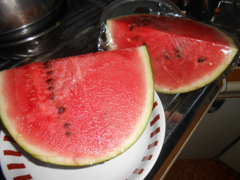 DSCN8615