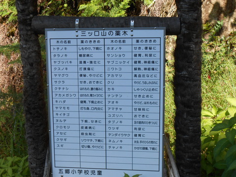 DSCN4926