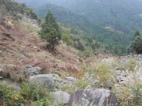 DSCN6884