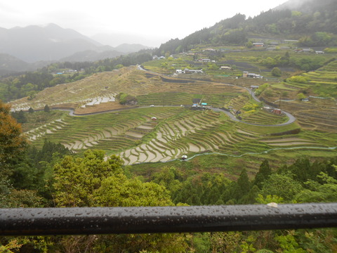 DSCN6053