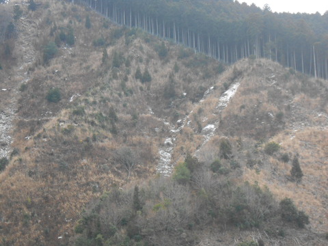 DSCN8906