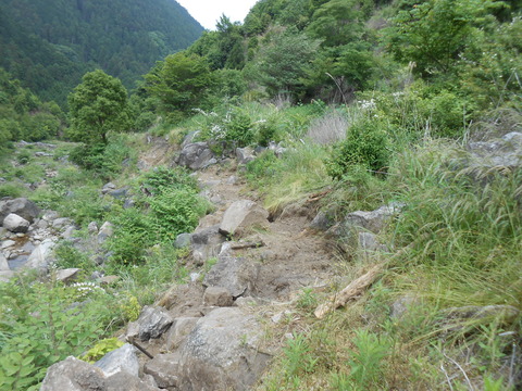 DSCN6299