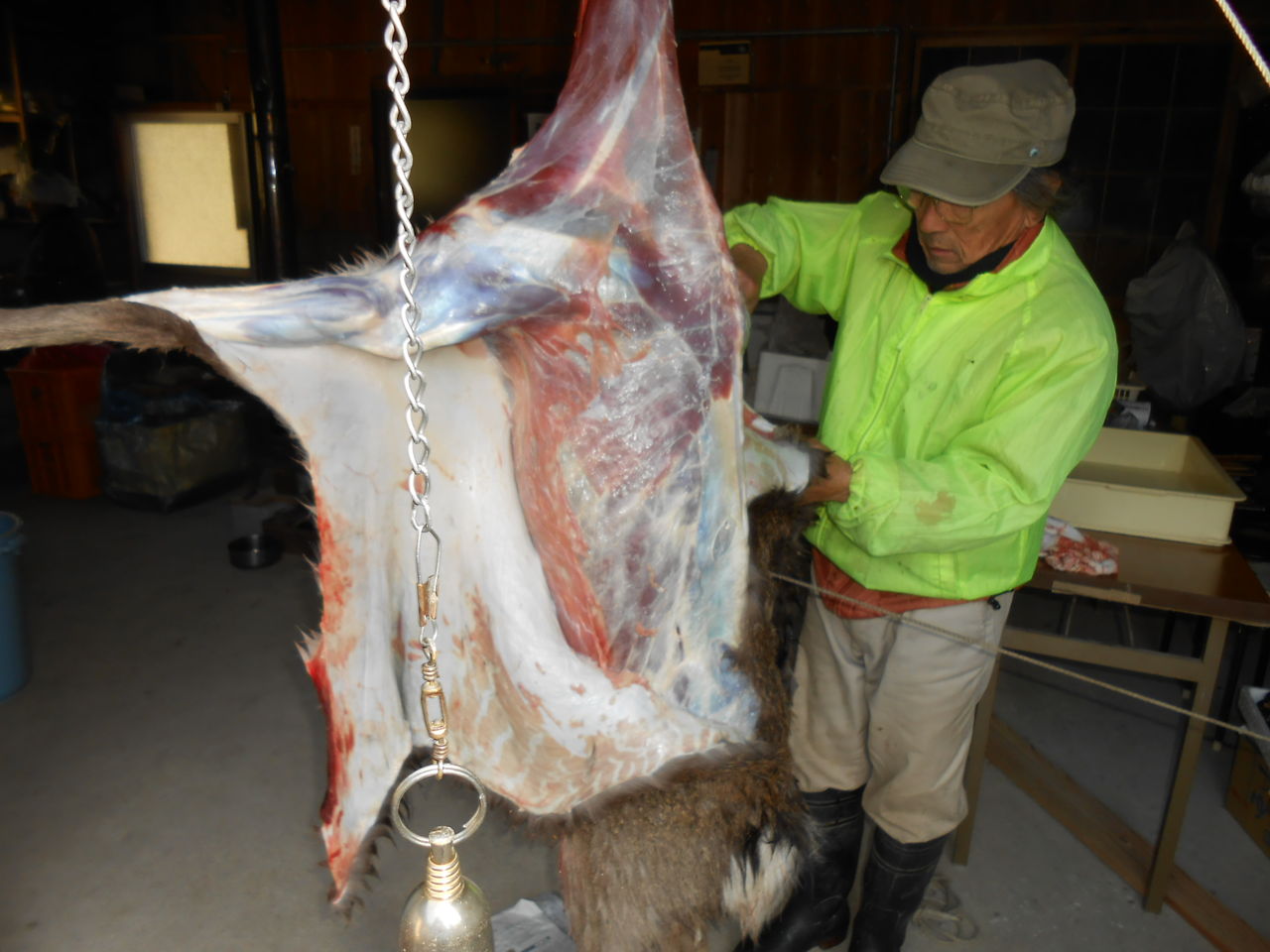 五郷の辻本さん １２ ２７ 鹿一頭 １２ ２９ 鹿一頭にイノシシ一頭をしとめる 熊野での田舎暮らし