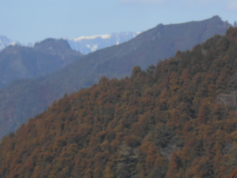 DSCN8901