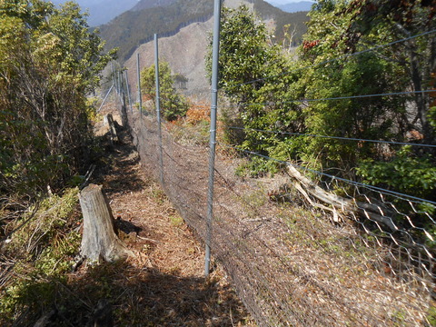 DSCN3787