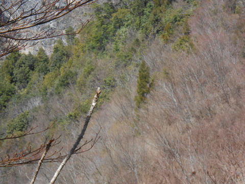 DSCN3790