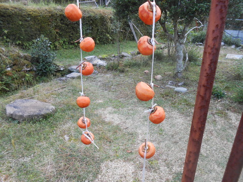 DSCN8696