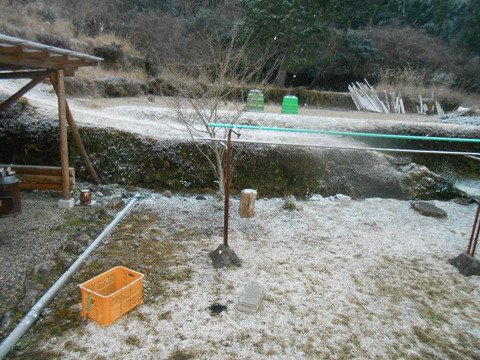 DSCN7386