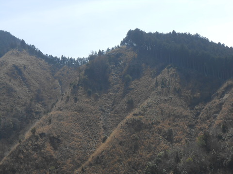 DSCN3770