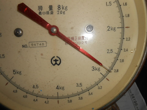 DSCN6291