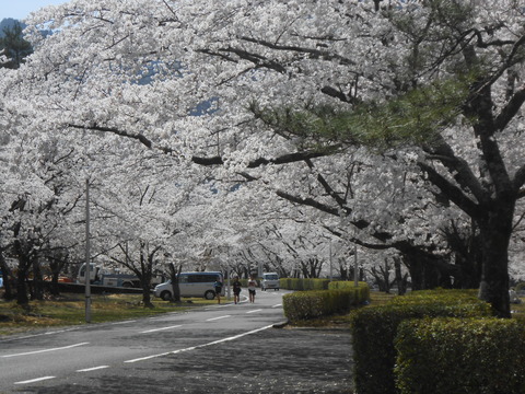 DSCN9057