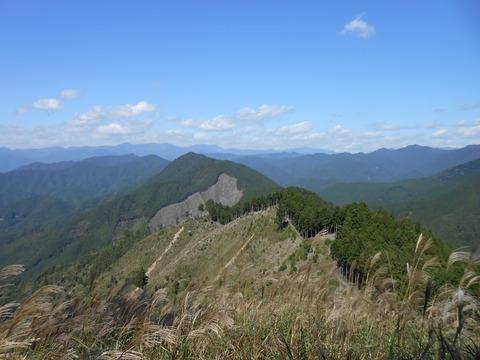 DSCN4897
