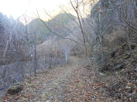 DSCN7276