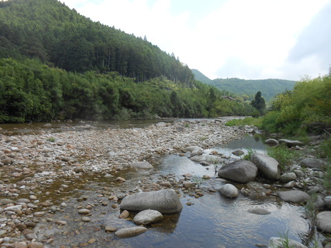 DSCN6641