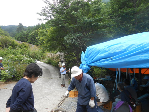 DSCN8208