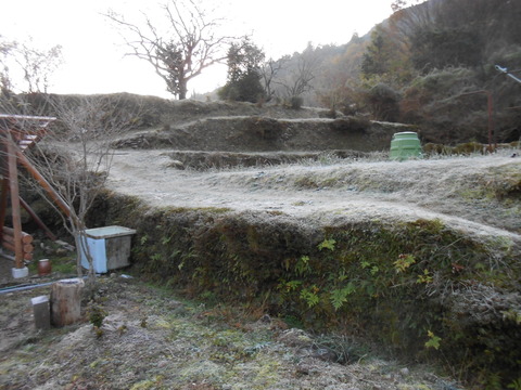 DSCN5125