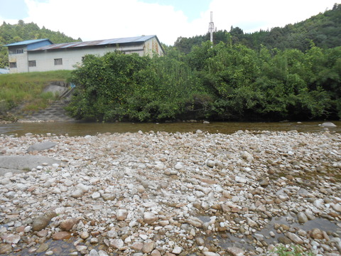 DSCN6642