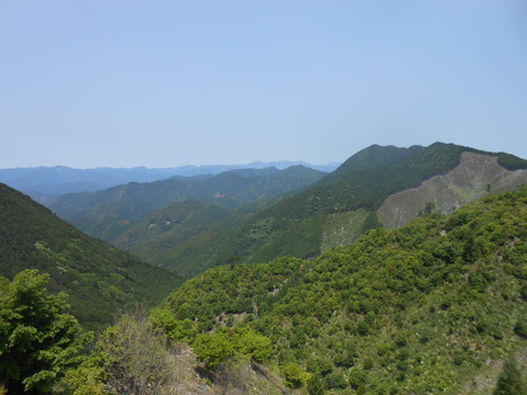 DSCN8122