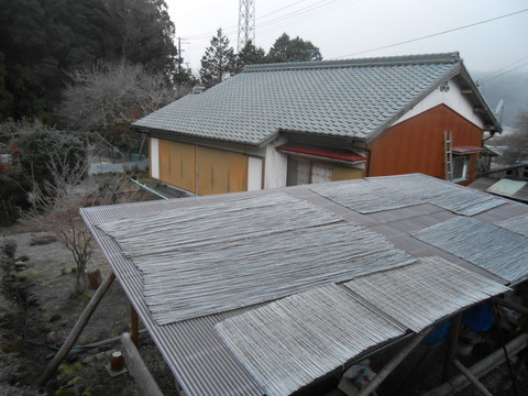 DSCN7288