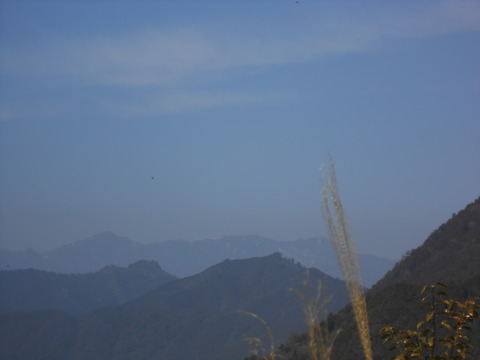 DSCN3773