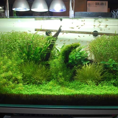 本日たっぷり入荷 アクアライズ大宮店 器材ブログ