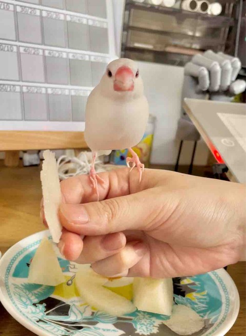 FullSizeRender