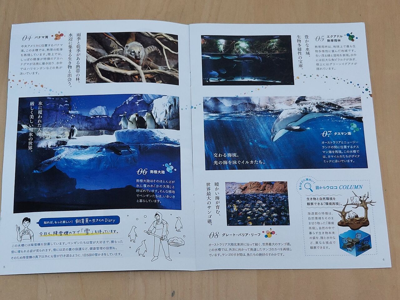 ★美品★海遊館パンフレット 久々の海遊館 : 水族館とクリアファイルまにあ