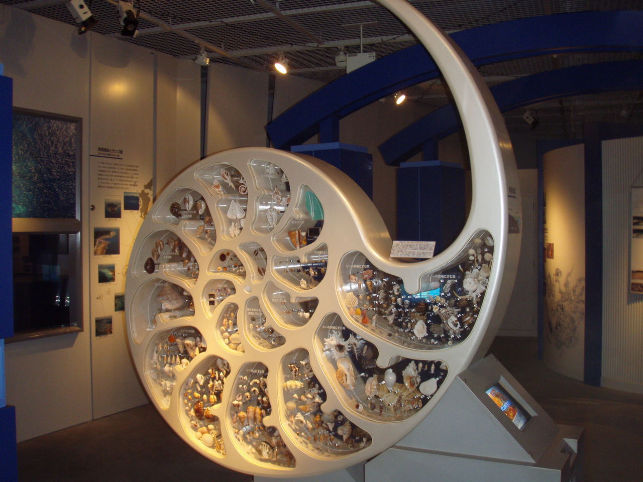 奄美海洋展示館の訪問記 水族館とクリアファイルまにあ