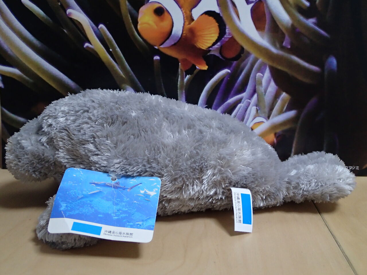 ぬいぐるみで水族館 水族館とクリアファイルまにあ ぬいぐるみで水族館 水族館とクリアファイルまにあ