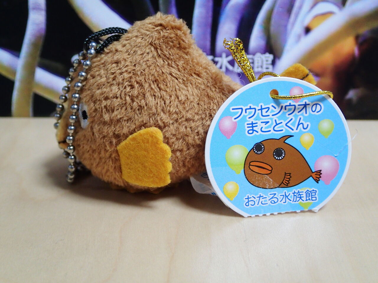 ぬいぐるみで水族館 水族館とクリアファイルまにあ ぬいぐるみで水族館 水族館とクリアファイルまにあ