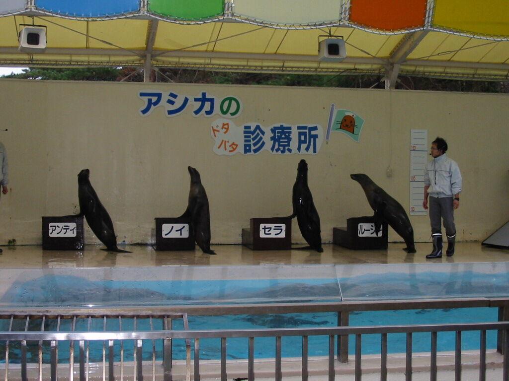 閑話休題(番外編の番外編)蝋人形の館(東日本編) : 水族館と 閑話休題(番外編の番外編)蝋人形の館(東日本編) : 水族館と