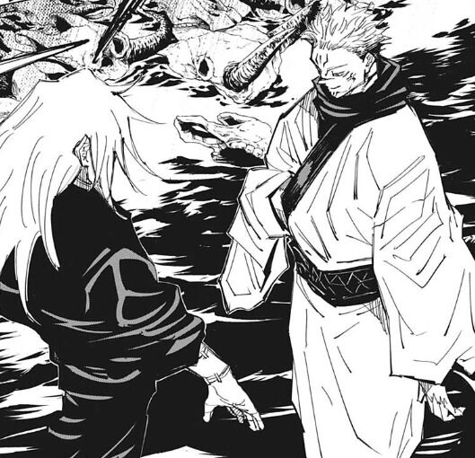 呪術廻戦 宿儺が真人の領域展開見逃したのは何だったんだろ 漫画は国宝