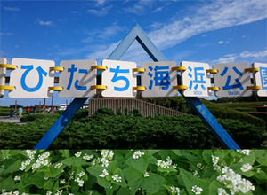 ブログ1
