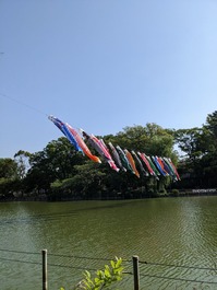PXL_20230424_233304319