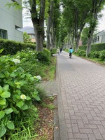 image0