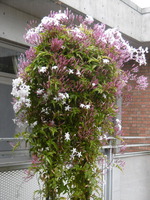 P1060961