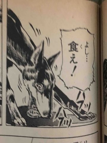 個人的 ジョジョの幸福な犬 ランキング スタンド使いになる10の方法